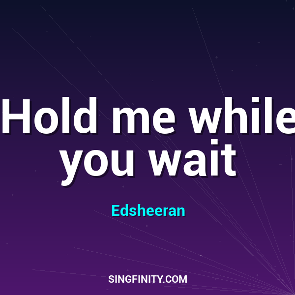 Artwork for Hold me while you wait